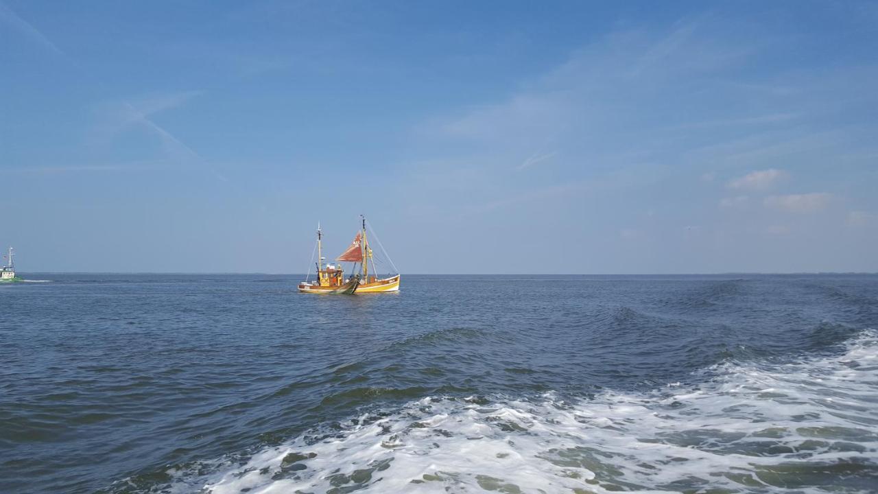 Nr 201 - Ferienhaus Am Tief Neuharlingersiel Exterior foto